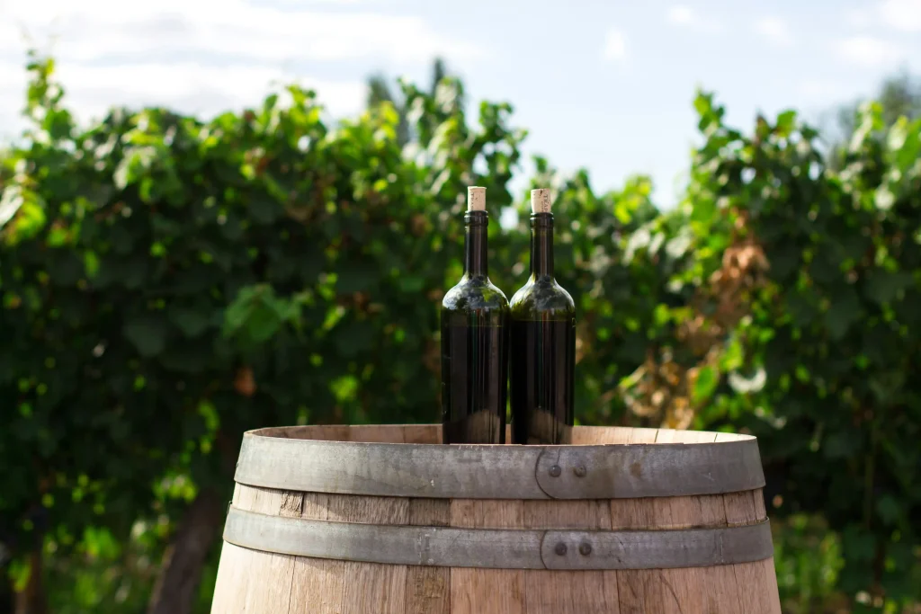Wine Tours In Washington DC